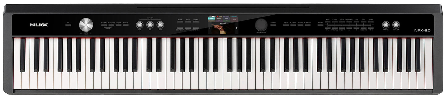 NPK-20 Professional Digital Piano
